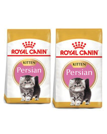ROYAL CANIN Persian Kitten 20 kg (2 x 10 kg) karma sucha dla kociąt do 12 miesiąca życia rasy perskiej