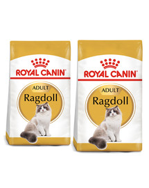 ROYAL CANIN Ragdoll adult 20 kg (2 x 10 kg) karma sucha dla kotów dorosłych rasy ragdoll