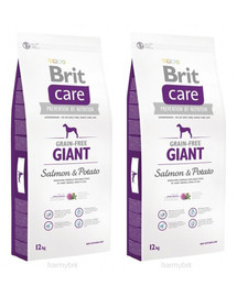 BRIT Care Grain-Free Giant salmon & potato 24 kg (2 x 12 kg)
