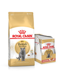 ROYAL CANIN British Shorthair karma sucha dla kotów dorosłych rasy brytyjski krótkowłosy 10kg + karma mokra 12x85g