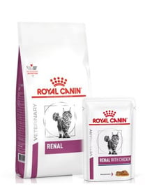 ROYAL CANIN Renal Feline 4 kg sucha karma + karma mokra Renal Feline kurczak 12 x 85g