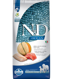 N&D Ocean Dog Adult Medium & Maxi salmon, cod, pumpkin & cantaloupe melon 12 kg łosoś, dorsz, dynia, melon kantalupa