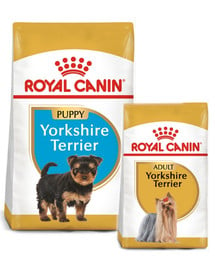 ROYAL CANIN Yorkshire Terrier Junior 7.5 kg + karma następna 0.5 kg