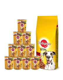PEDIGREE Adult 15kg (duże rasy) z wołowiną + mokra karma 24x400g