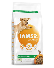 For Vitality Adult Large Breed Lamb 12 kg
