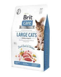 Care Cat Grain-Free Large Cats 2 kg