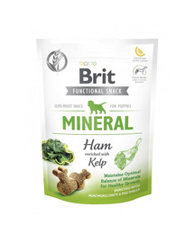 Care Dog Functional Snack Mineral Ham Puppy 150 g