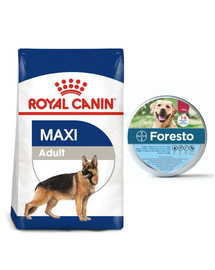 ROYAL CANIN Maxi Adult 15 kg karma sucha dla psów dorosłych, do 5 roku życia, ras dużych + BAYER FORESTO Obroża foresto dla psa przeciw kleszczom i pchłom powyżej 8 kg