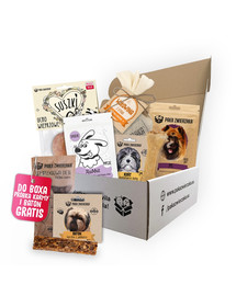 BOX mix przysmaków prezent dla psa