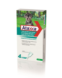 Ataxxa 1250 mg/250 mg roztwór do nakrapiania dla psów o masie od 10 kg do 25 kg