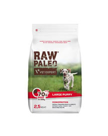Raw Paleo Beef puppy large 2,5kg dla szczeniąt dużych ras