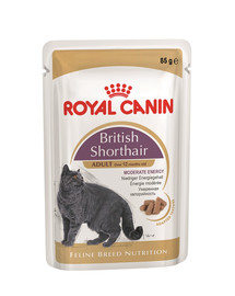 ROYAL CANIN British Shorthair karma mokra w sosie dla kotów dorosłych rasy brytyjski krótkowłosy 48x85 g