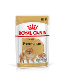 ROYAL CANIN Pomeranian Adult karma mokra, pasztet dla psów dorosłych rasy szpic miniaturowy