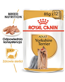 ROYAL CANIN Breed Mini Yorkshire