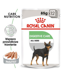ROYAL CANIN CCN Digestive Care karma mokra - pasztet dla psów dorosłych o wrażliwym przewodzie pokarmowym 24 x 85 g