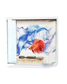 Zestaw akwarium Marina Betta BLUE 3L