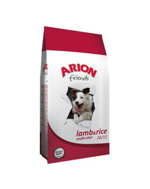ARION Friends Multi-vital lamb&rice 28/13 15 kg