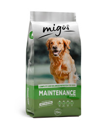 Maintenance Plus 20 kg dla psów mało aktywnych z witaminami