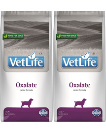 FARMINA Vet Life Dog Oxalate karma dla psa z problemami z nerkami i układem moczowym 2 x 12 kg
