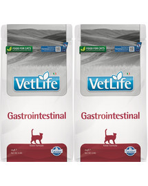 FARMINA Vet life Gastrointestinal Cat sucha karma dla kotów z problemami żołądkowymi 2 x 2 kg