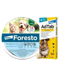 BAYER FORESTO Obroża dla kota i psa poniżej 8 kg przeciw kleszczom i pchłom + ELANCO AdTab 48 mg tabletka na kleszcze dla kotów (>2,0–8,0 kg)