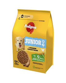 PEDIGREE Junior 2,6 kg z drobiem i warzywami sucha karma pełnoporcjowa dla dorastających psów dużych i średnich ras