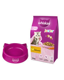 WHISKAS Junior sucha karma dla kotów z kurczakiem 14kg + miska GRATIS