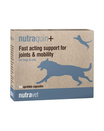 Nutraquin+ 60 kapsułek na stawy dla psów i kotów
