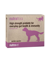 Nutraflora 12 kapsułek probiotyk wspomagający jelita i odporność psów i kotów