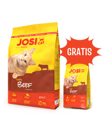 JOSERA JosiCat Tasty Beef 10 kg sucha karma z wołowiną dla kotów + 1,9 kg karmy GRATIS