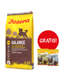 JOSERA Balance 12,5kg dla starszych lub mało aktywnych psów + 2 x Denties with Poultry & Blueberry 180g GRATIS