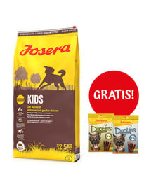 JOSERA Kids 12,5kg dla młodych psów ras średnich i dużych + 2 x Denties with Poultry & Blueberry 180g GRATIS