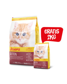 JOSERA Kitten 10 kg sucha karma dla kociąt i kotek ciężarnych lub karmiących + 2 kg karmy GRATIS