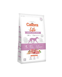 Dog Life Junior Large Breed Lamb 12 kg