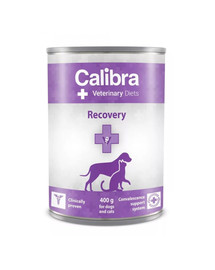 Veterinary Diet Dog&Cat Recovery 400 g