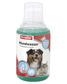 BEAPHAR Mundwasser 250 ml płyn do pielęgnacji jamy ustnej i zębów dla psów i kotów