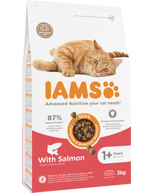 Cat Adult All Breeds Salmon 3 kg