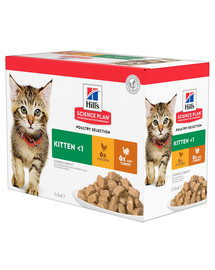 Science Plan Feline Kitten Multipack Chicken & Turkey 85 g x12 Szt.