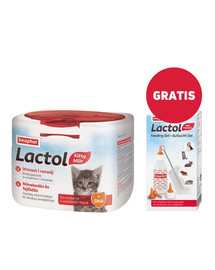 BEAPHAR lactol kitten 250 g mleko dla kociąt + zestaw do karmienia GRATIS