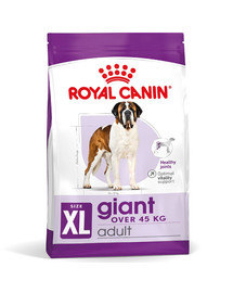 ROYAL CANIN Giant Adult 15kg karma sucha dla psów dorosłych, od 18/24 miesiąca życia, ras olbrzymich