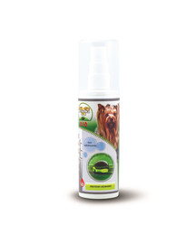 Odżywka BIO bez spłukiwania z proteinami jedwabiu 100ml