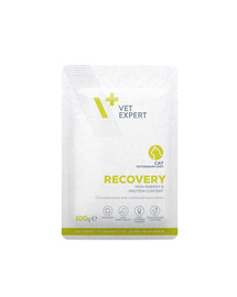 Veterinary Diet Cat Recovery pouch 100 g