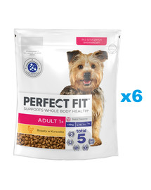 PERFECT FIT Adult 1+ sucha karma pełnoporcjowa dla dorosłych psów małych ras bogata w kurczaka 6x825g