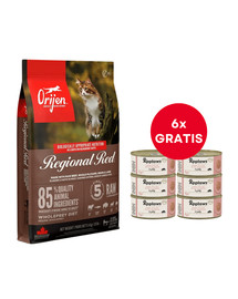 ORIJEN Regional Red Cat 5.4 kg + APPLAWS Cat Adult Tuna Fillet with Salmon in Jelly tuńczyk i łosoś w galarecie 6 x 70g GRATIS