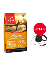 ORIJEN Puppy 11,4 kg + FLEXI New Comfort S Cord 5 m black smycz automatyczna GRATIS