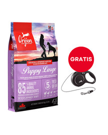 ORIJEN Puppy Large 6 kg + FLEXI New Comfort S Cord 5 m black smycz automatyczna GRATIS