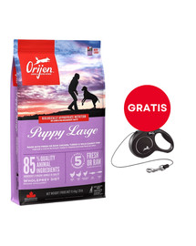 ORIJEN Puppy Large 11,4 kg + FLEXI New Comfort S Cord 5 m black smycz automatyczna GRATIS