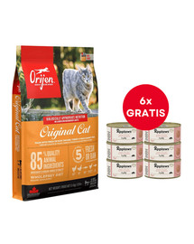 ORIJEN Original Cat 5,4 kg + APPLAWS Cat Adult Tuna Fillet with Salmon in Jelly tuńczyk i łosoś w galarecie 6 x 70g GRATIS