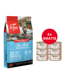 ORIJEN 6 Fish Cat 5.4 kg + APPLAWS Cat Adult Tuna Fillet with Salmon in Jelly tuńczyk i łosoś w galarecie 6 x 70g GRATIS