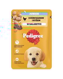 PEDIGREE Junior saszetka 100g mokra karma dla szczeniąt w galaretce kawałki bogate w kurczaka